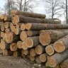Lumberman